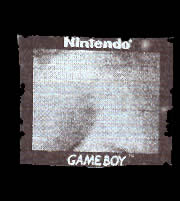 a fragmented portrait taken with a gameboy camera (4)