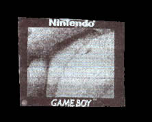 a fragmented portrait taken with a gameboy camera (6)
